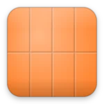 Neon Orange